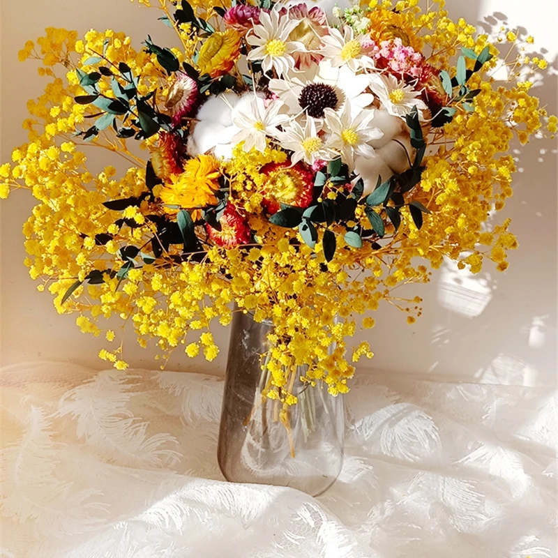Baby Breath Dried - 천연 말린 꽃 Gypsophila 홈 장식을위한