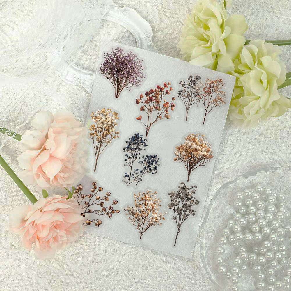 Baby Breath Dried - 50 Pcs 빈티지 말린 아기의 숨결