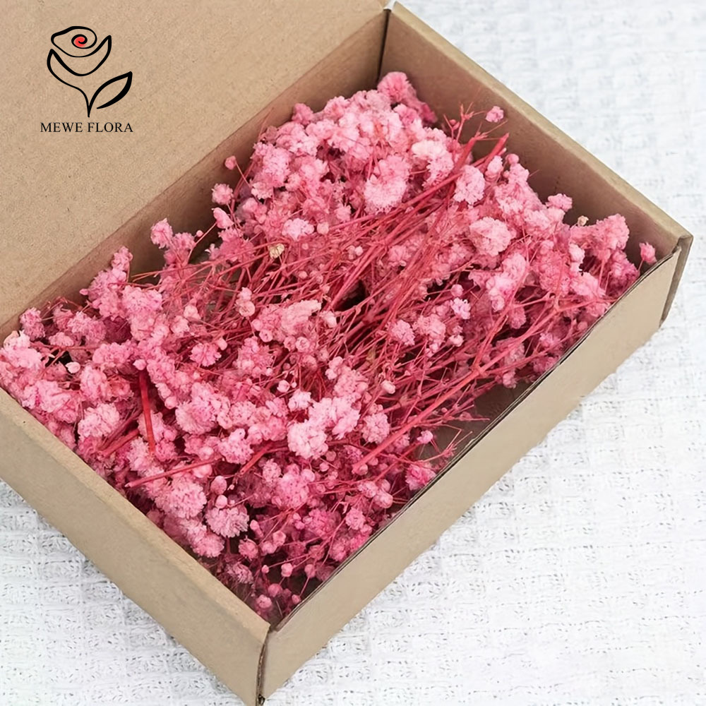 Baby Breath Dried - 카드 만들기 DIY 공예 미니 안개꽃