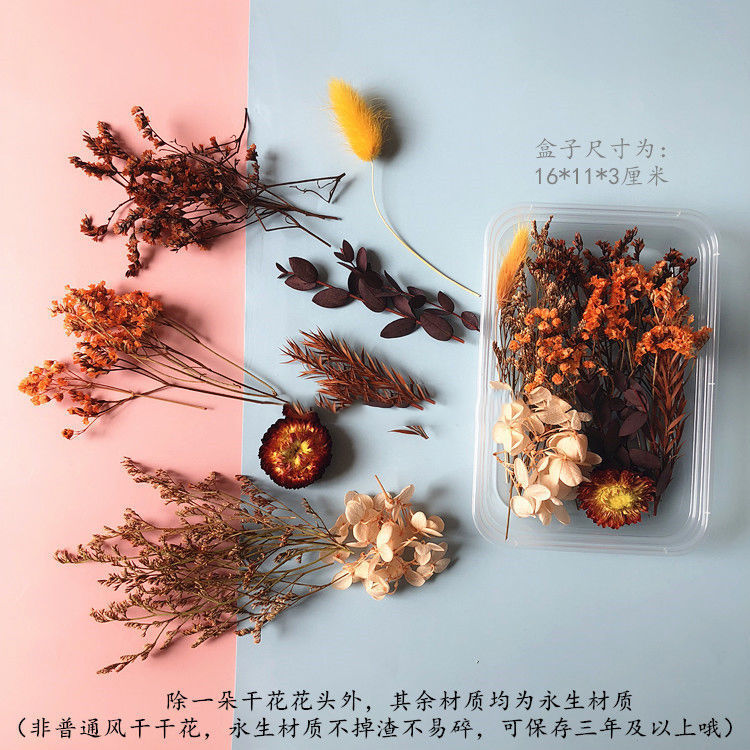 영원한 꽃 베이비브레스 데이지 드라이 플라워 재료 키트 - Baby Breath Dried 리뷰 및 가격