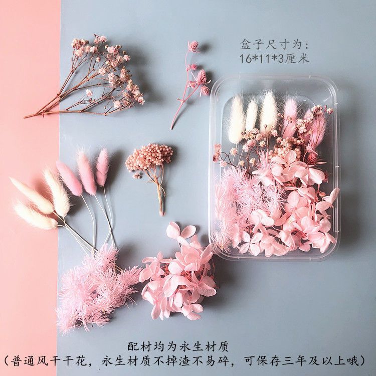 영원한 꽃 베이비브레스 데이지 드라이 플라워 재료 키트 - Baby Breath Dried 리뷰 및 가격