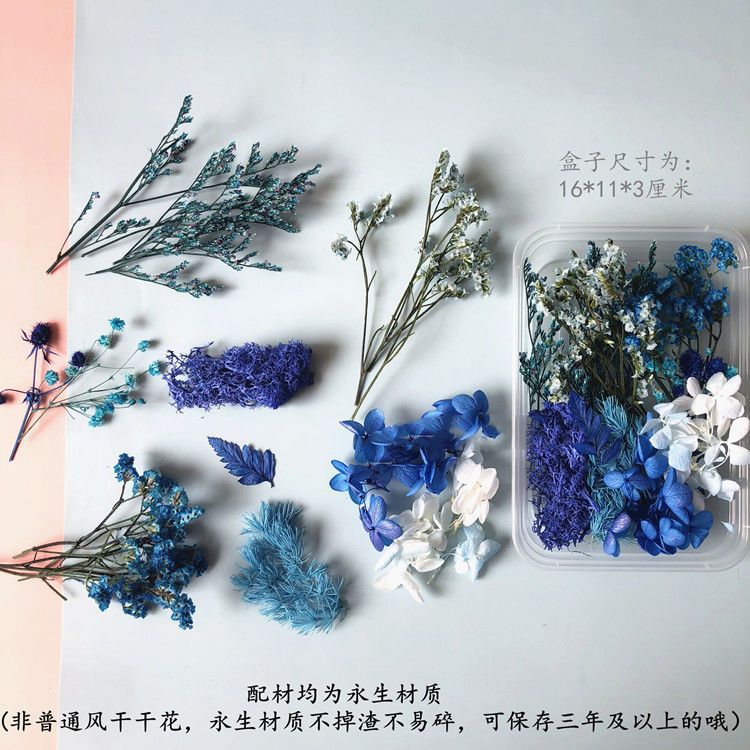 영원한 꽃 베이비브레스 데이지 드라이 플라워 재료 키트 - Baby Breath Dried 리뷰 및 가격