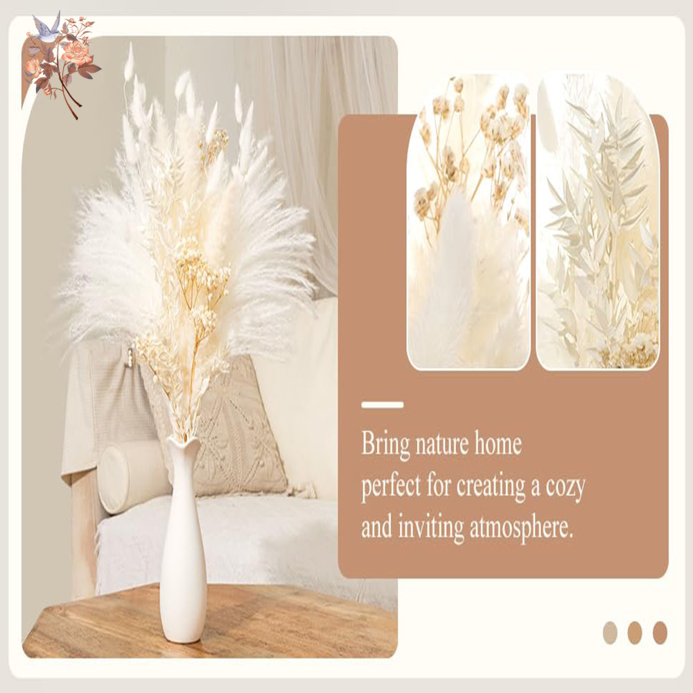 40pcs 흰색 자연 말린 꽃 꽃다발 우아한 Boho  - Baby Breath Dried 리뷰 및 가격