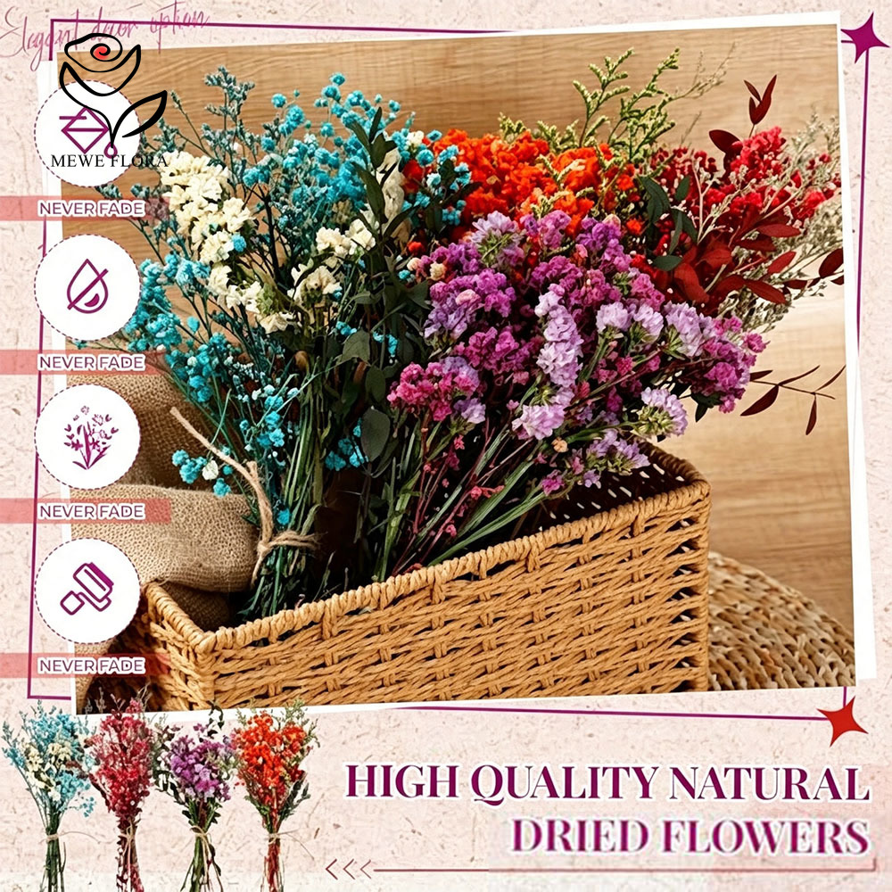 다채로운 드라이 플라워 천연 안개꽃 4묶음 웨딩 보헤미 - Baby Breath Dried 리뷰 및 가격